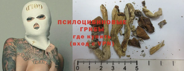 круглые Аркадак