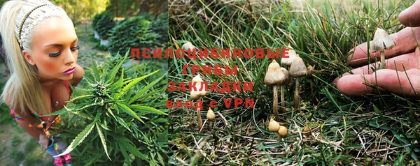 дживик Алексеевка